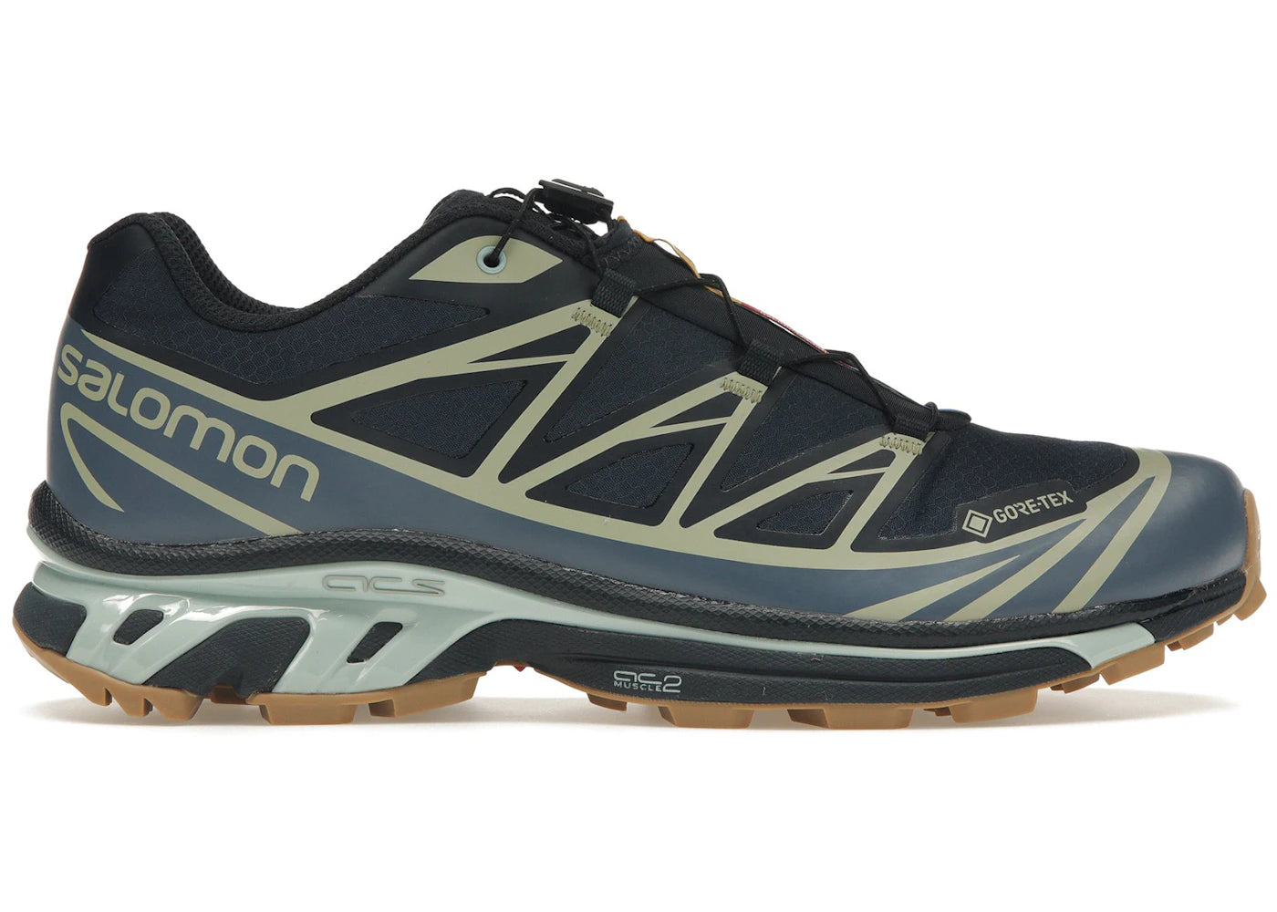Salomon Advanced XT-6 Gore-Tex Carbon Beringmeer