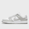 Nike Dunk Low Gris Brouillard