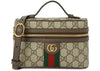 Gucci Ophidia Vanity Bag Beige