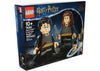 LEGO Harry Potter & Hermine Granger Set 76393