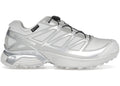 Salomon XT-Pathway GTX Lunar Rock Alloy