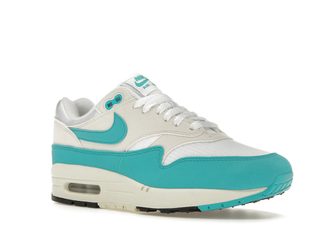 Nike Air Max 1 Dusty Cactus